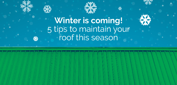 Roof maintenance in winter