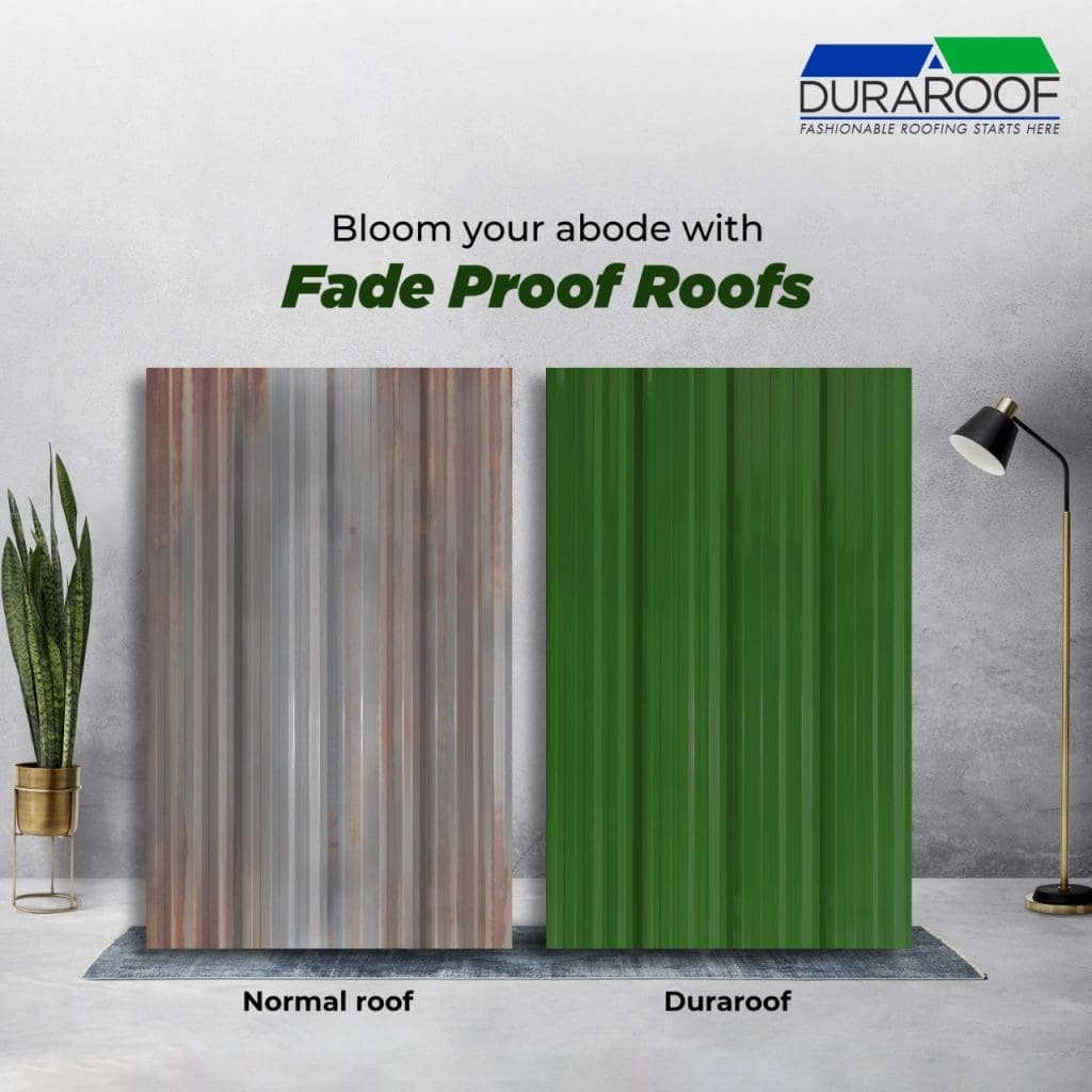 birds nesting under roof