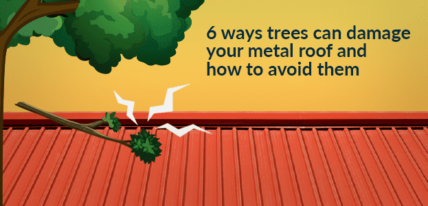 How trees can damage your roof